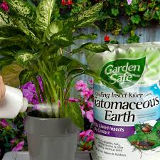 Get it as soon as tue, jul 13. Garden Safe Crawling Insect Killer Containing Diatomaceous Earth 4 Lb Walmart Com Walmart Com