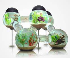Jangan lupa tambahkan juga hiasan aquarium, seperti bebatuan mini. Model Aquarium Unik Bunder Kreatif Aquarium Proyek Seni