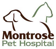 Of montrose pet hospital business. Veterinarian In Montrose Ca Montrose Pet Hospital