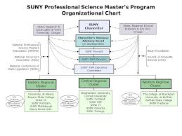 suny and the psm degree the new york context npsma