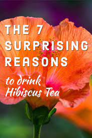 The Health Benefits Of Hibiscus Tea Has Green Tea Found A Challenger