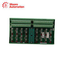 Triconex 7400169-310 9662-1XX Terminal Panel En stock ...