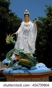 Hung Lieu Temple Photos and Images