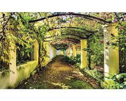 Garten obstschutztasche gegen insektenvogelschädling vliesstoff verkauf. Fototapete 2296 Vexxl Vlies Garten Pergola 312 X 219 Cm Bei Hornbach Kaufen