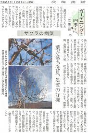 樹木 青柳庵日記