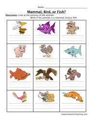Mammal Fish Bird Worksheet Animal Worksheets Science Worksheets Mammals