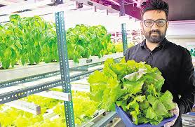 We did not find results for: Startup Saturday Hydroponic Entrepreneurs Farming For The Future Hindustan Times