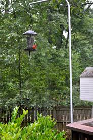Bird Feeder Pole For Deck Railing How To Stop Squirrels From Climbing A Bird Feeder Pole Chatfield Court Diy Bird Feeder Best Bird Feeders Bird Feeder Poles