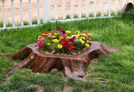 Traverse the phenomenal inventory of removing tree stumps with splendid rebates at alibaba.com. 15 Amazing Tree Stump To Planter Conversions Garden Lovers Club