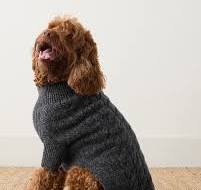 Marled Organic Cotton Dog Sweater