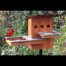 Bird House Spa And Resort Woodworking Plan By Tobacco Road Guitars Gaiolas Para Passaros Planos De Casa De Passaro Ninhos De Aves