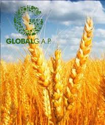 Chứng nhận GlobalG.A.P – Công nhận quốc tế – KNA CERT - Công ty TNHH Chứng  nhận KNA