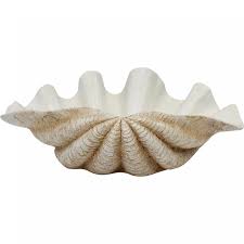 There are variations in each one. Natural Clam Shell Decor Accent 53cm Sw Brothers Home Interior