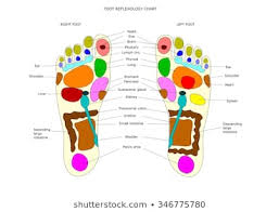 Foot Reflexology Images Stock Photos Vectors Shutterstock