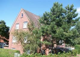 Gästebewertungen (4) reservieren sie ihren aufenthalt in einer ferienwohnung. Pension Haus Am Waldchen In 26579 Baltrum Deutschland