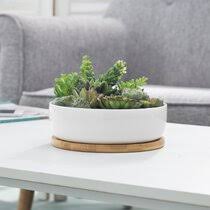 Top selection of 2021 plant pot, home & garden, flower pots & planters, hanging baskets, artificial plants and more for 2021! Planter Flower Pots Wayfair