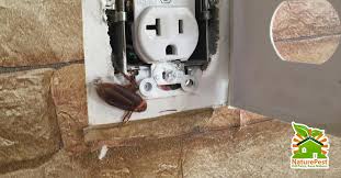 We provide access to educational resources to help you select, purchase todays professionals use integrated pest management techniques which include traps and exclusion methods to control pests. 3 Things To Avoid When Faced With A Roach Infestation