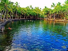 Kapoho Tide Pools Tide Pools And Plants Walsall Home And