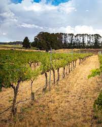 Orange nsw weekend whats on. 9 Things To Do In Orange Nsw For The Perfect Weekend Break Walk My World