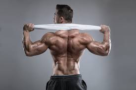 Back muscles reference | male. Best Way To Build Up Back Muscles