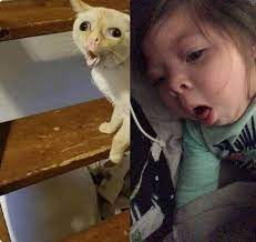 Pin On Funny Hahaha