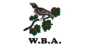 Basketball club in west bromwich | competing in west midlands @yblofficial @wmbballleague @wmwbbl. West Bromwich Albion Logo And Symbol Meaning History Png