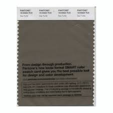 Pantone 19 0403tcx Swatch Card Sea Turtle