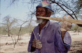 Image result for Danthoniopsis dinteri