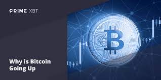 Bitcoin Going Up Once Again Key Factors And Strategy Primexbt