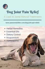 Pin On Essential Oils