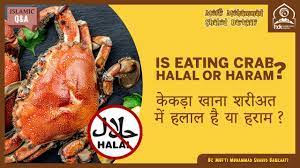 When does the food become seafood halal? Is Eating Crab Halal Or Haraam By Mufti Muhammad Shahid Barkaati Youtube