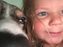 Engagement photos, but corgi steals the show 😍