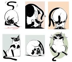 Emi Lenox Cat Art Animal Drawings Cat Drawing