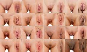 Porn of Different Vagina Shapes (53 photos) - motherless porn pics