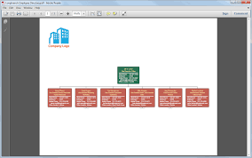 Org Chart Creator Software Orgplus Realtime Express