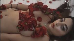 Aagmaal Archives - Page 43 of 60 - AAGmaal