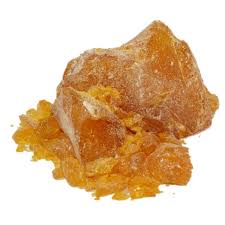 Image result for Copaifera