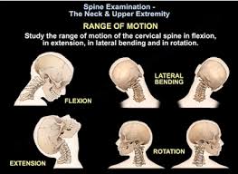 Image result for Neck Exam