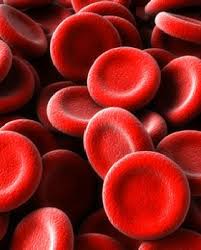 Maybe you would like to learn more about one of these? Cells Yr 10