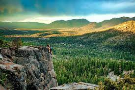National forest located in the u.s. Humboldt Toiyabe National Forest