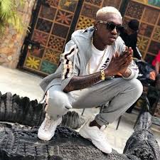 Born in sweden to a muslim bosniak father and a croatian catholic mother, he started playing football at the age of six. Zlatan Ibile Biography And Net Worth Austine Media