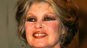 Brigitte bardot pictures and photos. Brigitte Bardot Beschimpft Jaher Und Muss 7000 Euro Geldstrafe Zahlen Stern De