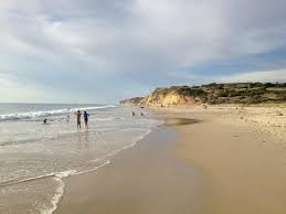 Aldinga Beach Just A One Hour Drive From Adelaide Quiet Beach With A Few Cafes Near By Worth The Drive Beach Australia Beach Australian Beach