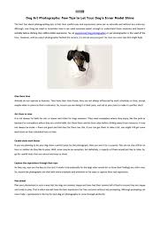 There's a wide variety in what people are looking for in pet portraits. Dog Art Photography Few Tips To Let Your Dog S Inner Model Shine By Daiokan Issuu