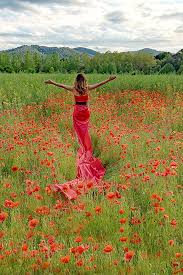Hd to 4k quality, all ready for download! Wallpaper Girls Nature Fields Poppies Flowers Gown 640x960