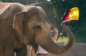 Ein beispiel ist der em super boost von bildbet für das spiel deutschland gegen portugal. Rpvfwszsxuiikm