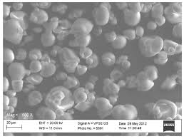 Image result for Mucuna flagellipes