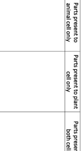Maybe you would like to learn more about one of these? Melc 3 Differentiate Plant And Animal Cells According To Presence Or Absence Of Certain Brainly Ph