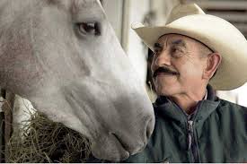 Better Lucky Than Good: Tall Tales and Straight Talk from the Backside of  the Track