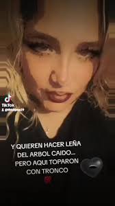 Del Arbol Caido Todos Quieren Hacer Leña